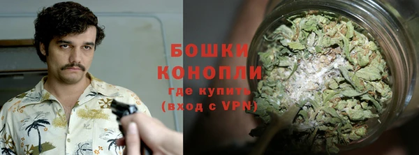 сатива Вязьма