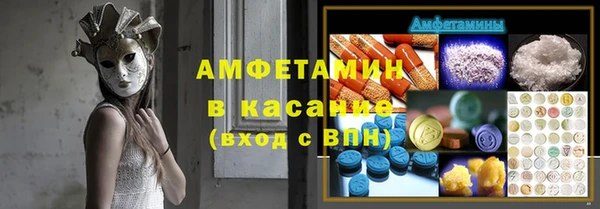 сатива Вязьма