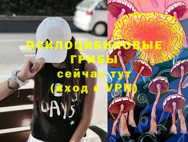 mdpv Вязники