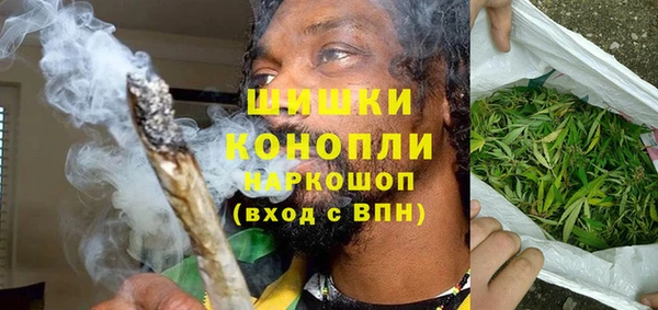 сатива Вязьма