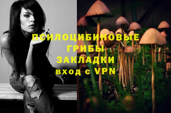 2c-b Вяземский