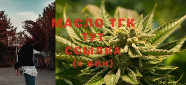 сатива Вязьма
